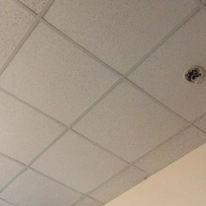 Meet your Posher, Landon